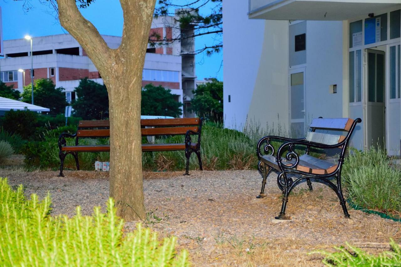 Apartment D Zadar Dış mekan fotoğraf